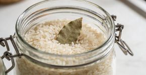 Por que colocar uma folha de louro no pote de arroz salva sua despensa