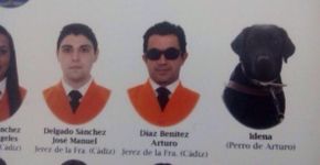Cadela ‘se forma’ no curso de serviço social na Espanha