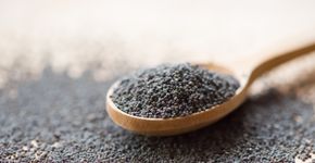Foto: (alexxx1981/istock)