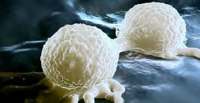 Aparelho auxilia na localização de células cancerígenas