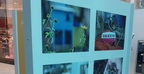 Exposição Gratuita: ‘Retratos da Terra’ chega ao Mauá Plaza Shopping