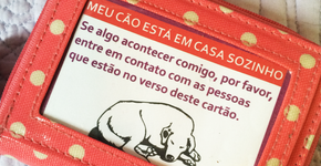 Site cria carteirinha de emergência para cães e gatos
