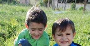 Família planta uma árvore por dia