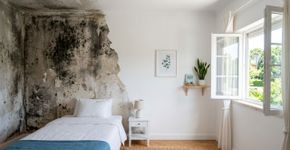 Poucos sabem: as maneiras mais eficazes de eliminar o mofo das paredes do seu quarto