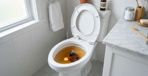 Colocar um sachê de chá preto dentro do vaso sanitário: para que serve e por que é recomendado