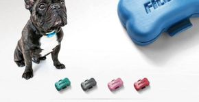 10 produtos inovadores para o seu dia a dia