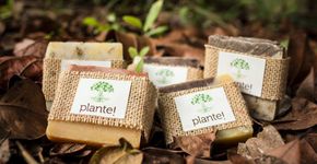 Comunidade em Itacaré (BA) investe na natureza e no Facebook