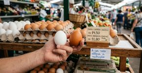 Aprendi isso aos 60 e poucos: Quase ninguém conhece a real diferença entre os ovos brancos e os marrons