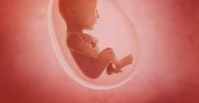 Foto: (cosmin4000/istock)