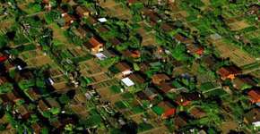 Nesta cidade da Suíça quase todo morador tem uma horta em casa