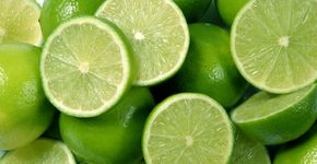 Foto: (ribeirorocha/istock)