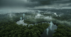 Lagos de águas negras da bacia do Congo estão liberando carbono antigo na atmosfera