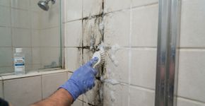 Nem sabão em pó nem água sanitária: a melhor maneira de tirar o encardido do rejunte do banheiro