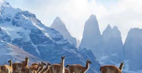 Foto: (JeremyRichards/iStock)