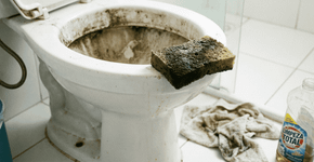Eu entendi tarde demais por que o vaso sanitário não deve ser limpo com esponja