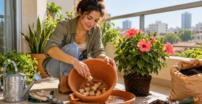 Qual a finalidade de colocar rolhas em vasos de flores e como elas podem ajudar as plantas do jardim?
