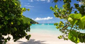 Foto: (BackyardProduction/iStock)