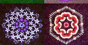 Conheça as mandalas naturais de Kathy Klein