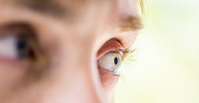 Foto: (iStock/smirart)