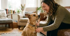 Por que os cães inclinam a cabeça quando nos ouvem?