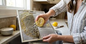 Nas casas mais cheirosas de Portugal a cozinha não tem cheiro de gordura porque usam limão com sal para limpar a coifa