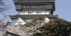 Mudança na modalidade de visto para o Japão
