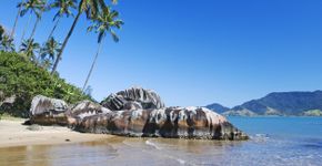 Foto: (Camila1111/iStock)