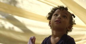 Sem sair de casa: assista ‘O começo da Vida’ na Netflix