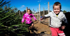 Parque que encoraja crianças a correrem riscos é eleito por arquitetos como o melhor da Austrália