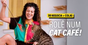Gateria Cat Café: conheça o lugar perfeito para quem ama gatinhos