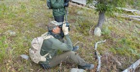 Ativista tem técnica inovadora para impedir a caça de ursos e lobos