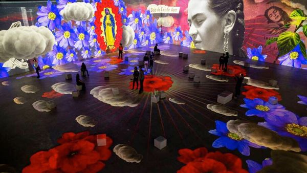Guia Toddynho - Exposição sobre a Frida Kahlo