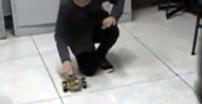 Escola pública de Cascavel (PR) recebe projeto de robótica