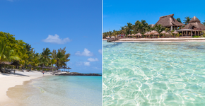 Foto: (Istock/Istock)