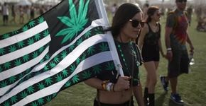 EUA e Uruguai comemoram efeitos da legalização da maconha