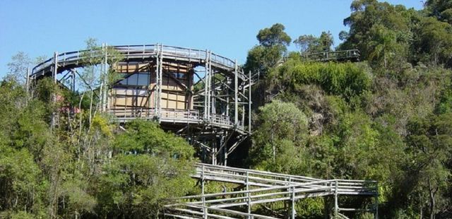 Bosque Zaninelli: pra relaxar e aprender mais sobre meio ambiente!