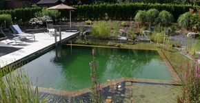 Piscinas ecológicas que substituem o cloro por plantas