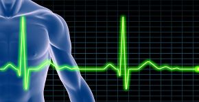 Site registra mortes por doenças cardiovasculares em tempo real