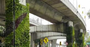 Colunas de viadutos transformadas em jardins