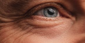 Foto: (knape/istock)