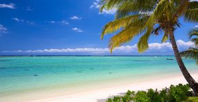 Foto: (Reprodução/Twitter@MauritiusGuide)