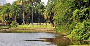Caminhada contra a dor acontece no Bosque da Barra