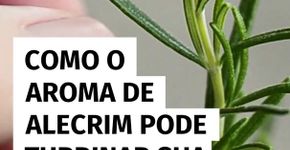 Como o aroma de alecrim pode turbinar sua memória prospectiva