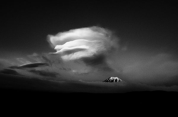 Foto: Camus Wyatt