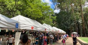 Foto: (Divulgação Assessoria Atelie de Eventos)