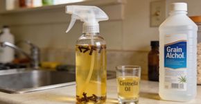 Como criar um repelente natural que deixa a casa cheirosa