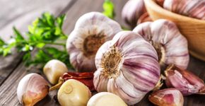 Foto: (iStock/IURII BUKHTA)