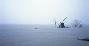“Brasil e a Transformação da Paisagem”