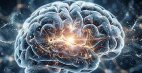 Cientistas descobrem como fazer partes do cérebro descansarem sem dormir