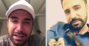 Latino se emociona ao pedir ajuda para achar macaco de estimação